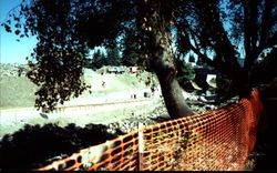 Santa Rosa Creek looking east to Highway 101 bridge from Olive Park