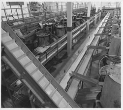 Interior view of the Sebastopol Apple Growers Cooperative plant, Sebastopol, California, 1980