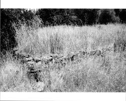 Remains of a basalt tailings foundation originally part of a barn located at 1480 Los Olivos Road, Santa Rosa, California, 1987