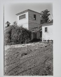 Bihler Ranch, Petaluma, California, 1995