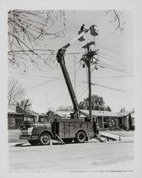 City of Healdsburg Electrical Department at work on transformers, Healdsburg, California, 1961