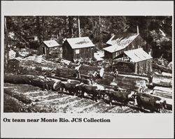 Ox team near Monte Rio, California, 1880s