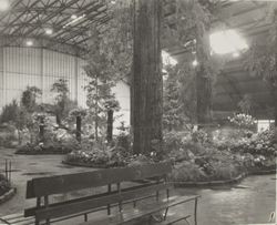 Redwood Wonderland display at the Hall of Flowers at the Sonoma County Fair, Santa Rosa, California, 1960