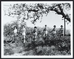 Girls with bicycles in an apple orchard, Sebastopol, California, 1961