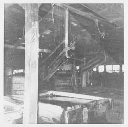 Tanning vats and tanned hides hanging greased and drying at the Santa Rosa Shoe Factory and Tannery