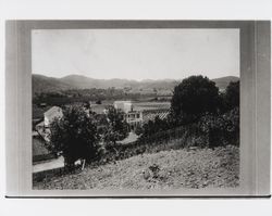 Unidentified vineyard in Alexander Valley, near Geyserville, California, early 1900s