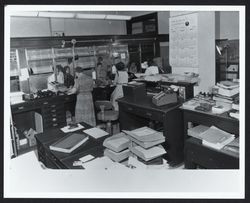 Interior of the Tax Collector's Office at the Courthouse, Santa Rosa