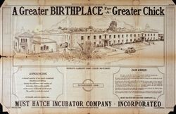 Must Hatch Incubator Company advertisement for "A Greater Birthplace for a Greater Chick," February 11, 1927