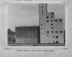 Poultry Producers of Central California Petaluma mill under construction, about 1938