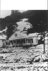 Home of Hattie Brians in Occidental, California after a snow storm, Occidental, California, about 1932