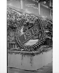 Cloverdale Citrus Fair, Feb. 1912--horseshoe with date 1915