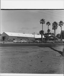 Price-Roche Motors, Petaluma, California, 1958