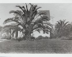 Residence of John H. and Charlotte Madison, Petaluma, California, 1920s?