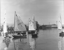 Preparing sailboats for El Toro races., Petaluma, California, 1968