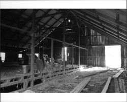 Dairy barn on Andresen Ranch, Penngrove, California, 1992