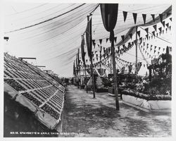 Gravenstein Apple Show, Sebastopol, 1911