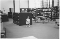 Patrons using the Main Reading Room of the library, Santa Rosa