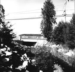 Unidentified bridge in east Santa Rosa