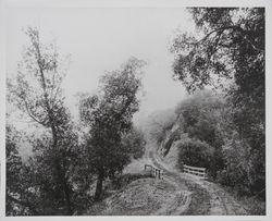 Warm Springs Road bridge