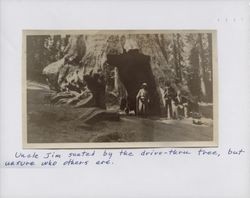 James R. Titus seated by the Wawona Tree, Yosemite National Park, California, about 1916