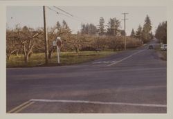 Intersection of Guerneville and Vine Hill Roads, Graton, California, 1950s