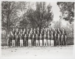 Future Farmers of Santa Rosa High School, Santa Rosa, California, 1959