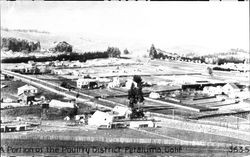 Portion of the poultry district Petaluma, California, 1917