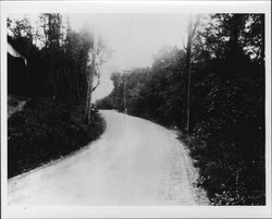 Unidentified roads of Sonoma County, California, 1910-1930