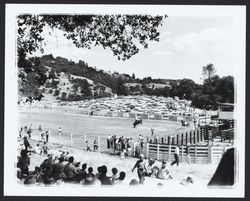 Rodeo at Palomino Lakes, Cloverdale, California, 1963