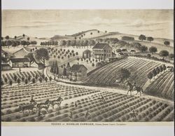 Nicholas Carriger farm in Sonoma, Cal