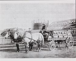 Oscar Martin delivering feed for Hickey & Vonsen, Petaluma, California