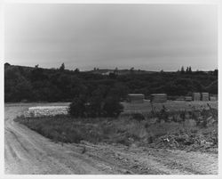 Idaco Lumber Company, Healdsburg, California, 1959