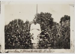 Mrs. Eva E. Urton (Mother), El Verano, California