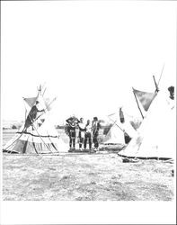 Tepees displayed at the Old Adobe Fiesta, Petaluma, California, about 1964