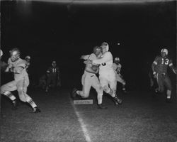 Bill Spaletta carries ball for Petaluma Leghorns, Petaluma, California, Sept. 22, 1951