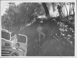 Fighting the Valley of the Moon fire near Golden Bear Lodge in Glen Ellen, California on September 21, 1964