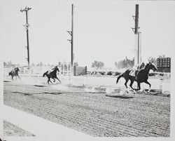 Horse crosses the finish line at the old racetrack at the Sonoma County Fair, Santa Rosa, California, photographed in the 1950s