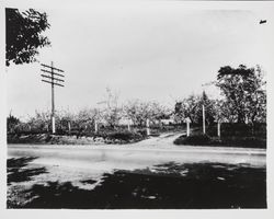 Ranch gate of Alfred Hallberg