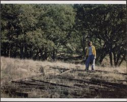 View of the Treadwell-Callison Ranch, Calistoga Road, Santa Rosa, California, 1970s