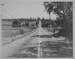 Guerneville Highway 116 leaving Forestville, California, July 18, 1954