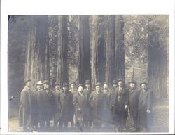 Members of California State Legislature on a junket to Armstrong Woods at time a bill was introduced to purchase property, Guerneville, California, 1908