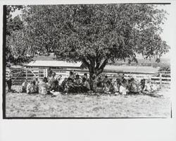 G.K. Hardt employee picnic, Santa Rosa, California, 1958