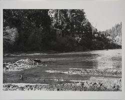 View of homes along the Russian River