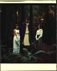 Santa Rosa High School homecoming queen and court in the redwoods, Guerneville, California, 1969