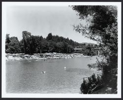 Beach at Monte Rio, California, 1968