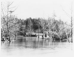 Flood at Guerneville