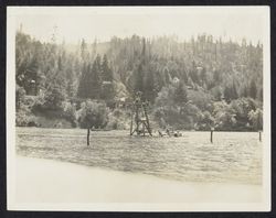 Swimming and boating at Guernewood Park, California, 1915