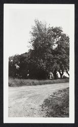 Unidentified dirt road in Sonoma County, California