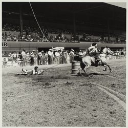 Barrel racing at the Mexican Rodeo at the Sonoma County Fair, Santa Rosa, California