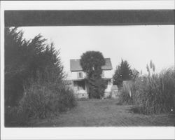 Unidentified rural houses of Petaluma, California, about 1910